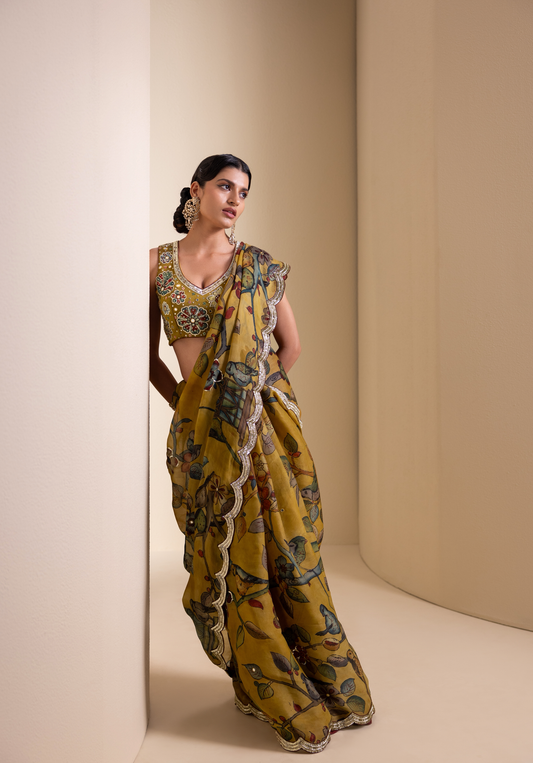 Birds Outside Cages Kalamkari Saree Set