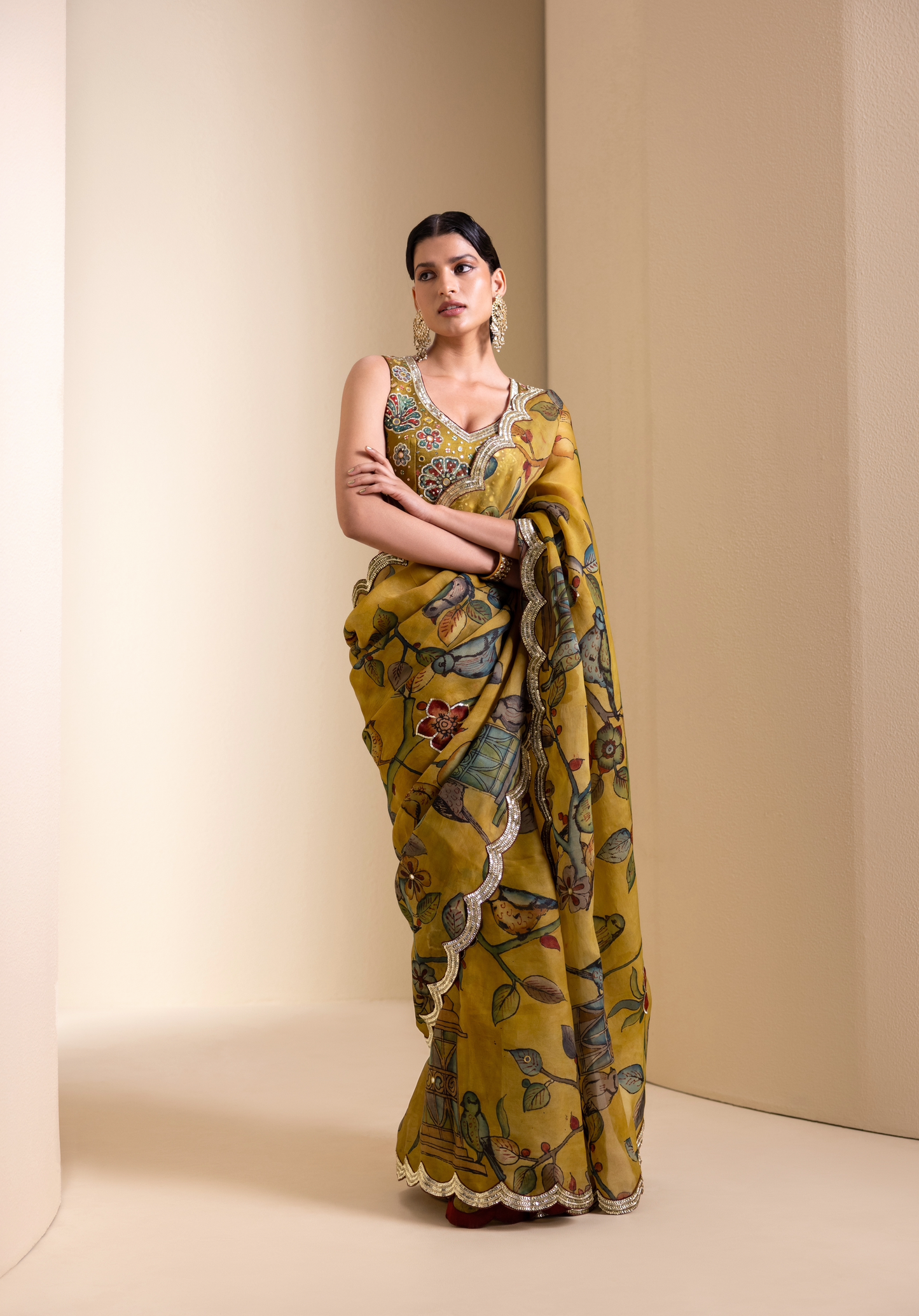 Birds Outside Cages Kalamkari Saree Set